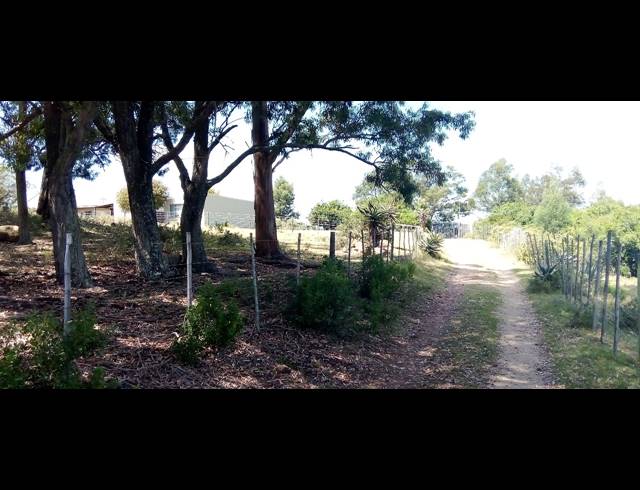 22.90HA FARM FOR SALE IN RUITERBOS